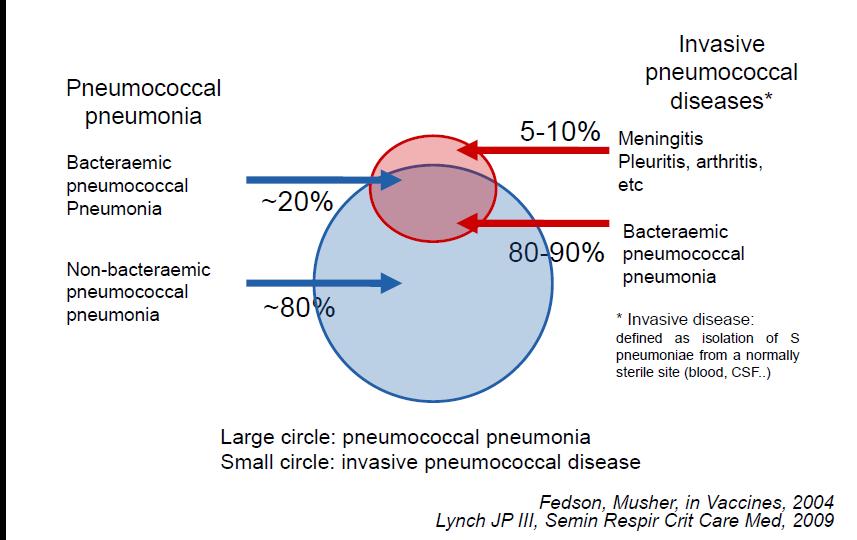 Pnömokokal Hastalık Pnömokokal Pnömoni Bakteremik Pnömokokal Pnömoni Bakteremik-olmayan pnömokokal pnömoni İnvazif Pnömokokal Hastalık Menenjit, plörit,artrit Bakteremik