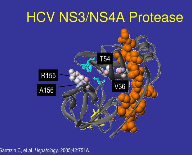 NS3/NS4 proteazı inhibe eder.