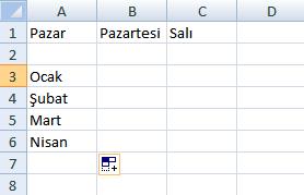 Bu seçeneğin onayı kaldırılırsa Excel de otomatik tamamla özelliği çalışmaz.