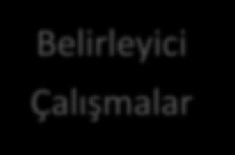 Diyabet Alanındaki Çalışmalar Belirleyici