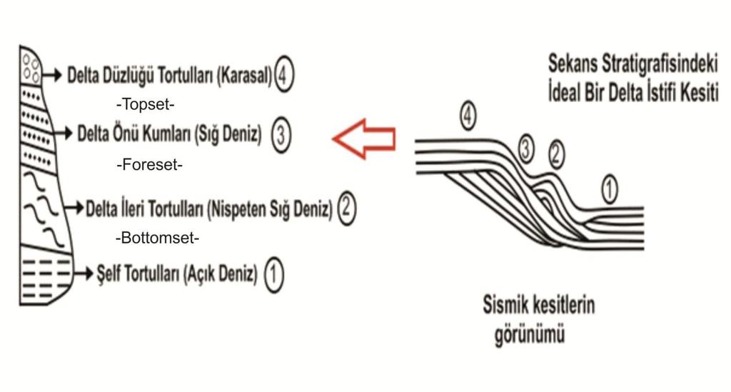 - Sonuç olarak; istiflerin dünya ölçeğinde üst üste dizilişlerini özellikle de denizel (okyanusal) istiflerin aynı jeolojik zaman dilimi içerisinde yükselip alçalmalarıyla oluşan durumunu inceleyen