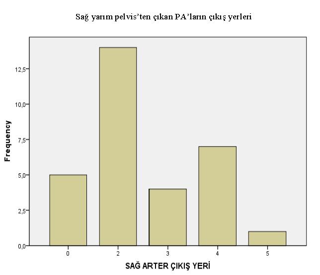 42 Şekil 4.2. 2.