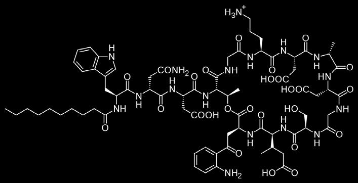 Daptomisin Streptomyces roseosporus dan izole edilen bir fermentasyon ürünüdür. Siklik lipopeptid sınıfının ilk ve tek üyesidir.