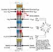 PLC I/O MODÜLLERİ PLC ve KONTROLÖRLER Ürün Kodu Açıklama Paket Birim Fiyat ÖZEL MODÜLLER 750-404 Yukarı / Aşağı Sayıcı, DC 24 V, 100 khz 1 308 750-491 Load Cell Modülü, 1 kanal 1 342 750-493 3 Faz