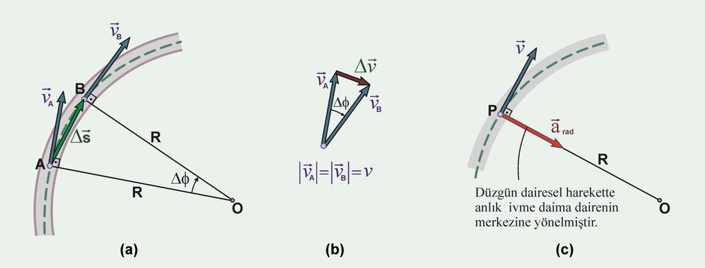 Düzgün Dairesel Hareket (a) (AOB) üçgeni ve (b) de hız vektörlerinin oluşturduğu üçgen benzerdir.