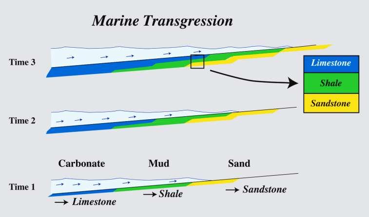 Denizel Transgresyon Deniz düzeyindeki değişim çökelme fasiyeslerinin dağılımını büyük ölçüde etkiler.