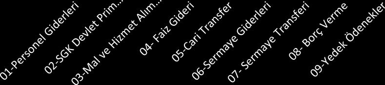 638,89 7.598.100,00 %46.91 Giderleri 03-Mal ve Hizmet Alım 122.374.759,80 121.489.700,00 % - 0.72 Giderleri 04- Faiz Gideri 3.092.581.,43 5.000.000,00 % 61.67 05-Cari Transfer 19.377.305,39 3.439.