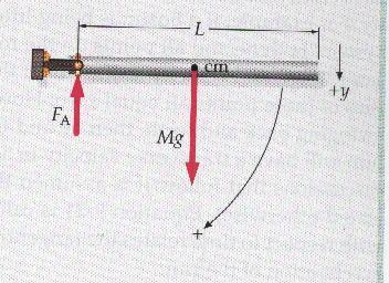 7. Uzunluğu, kütlesi M olan düzgün bir çubuk bir ucundan geçen yatay dik bir eksen etrafında (sürtünmesiz olarak) dönecek şekilde yataklanmıştır. Bu çubuk yatay olarak tutulurken serbest bırakılıyor.