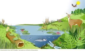 Çevreye İlişkin Tanımlar Ekosistem: Ekolojik sistemler, çeşitli organizmalarla,