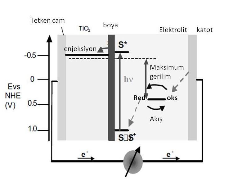 Şekil 2.8. Graetzel hücresinin şematik gösterimi. Şematik olarak Şekilde (2.8) da Graetzel hücresinin çalışma prensibi görülmektedir.