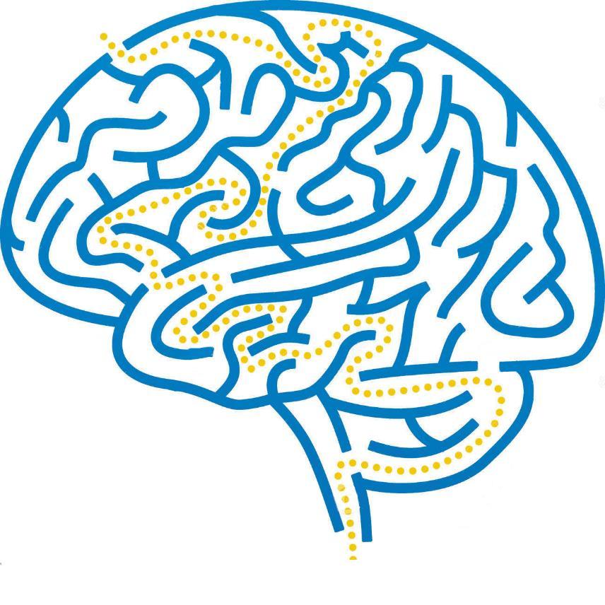 Gardner a Göre Zekanın Özellikleri: Zeka; insandaki beyin ve zihin sistemlerinin etkileşimi sonucu ortaya çıkan çok yönlü bir olgudur.