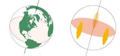 ġekil 2: Proksimal ve distal kutup (Hesse vd., 2009). ġekil 3: Kutup eksenleri ve ekvatoral düzlem (Hesse vd.