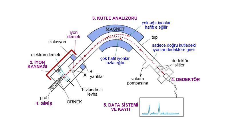 Detektör Vakum Sistemi Data sistemi kısımlarından oluşmaktadır.