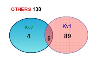 Voltaj bağımlı Kv1 iyon kanal tipinin de birçok alt tipi bulunmaktadır [111]. Bunlar arasından, Kv1.