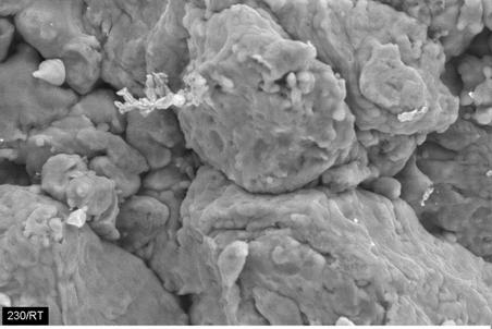 Bu çalışmada ortalama 15 numune test edilerek S-N eğrileri çizilmiştir [Şekil 9-10]. Mg Cu Zn b: 230 MPa/RT. Şekil 8. Çekme testi sonrası numunelerin kırılma yüzeyi fotoğrafları a: 180 MPa/80 0 C.