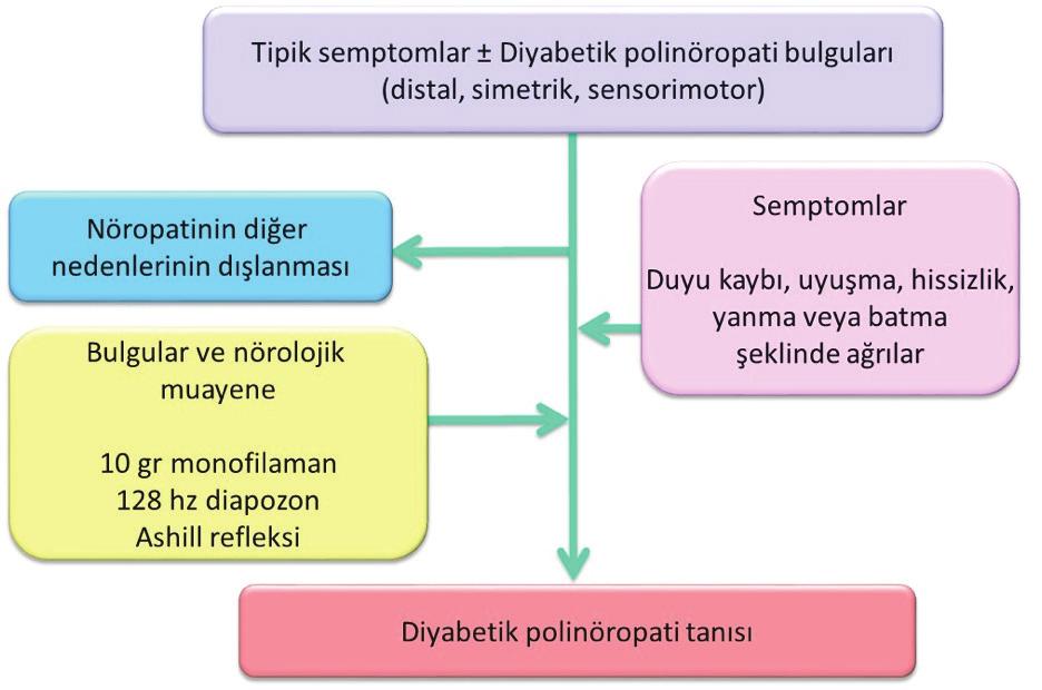 DİYABETİK NÖROPATİ 7-10 Şekil 1 - Diyabetik Distal Simetrik Polinöropati Tanısı