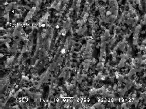 karbondur. Şekil 2.3 te taramalı elektron mikroskobundan (SEM) alınan aktif karbon fotoğrafı verilmiştir.