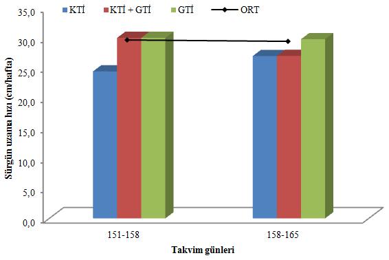 yavaşlamanın GTİ grubu omcalardaki yavaşlamaya göre daha fazla olduğu belirlenmiştir.