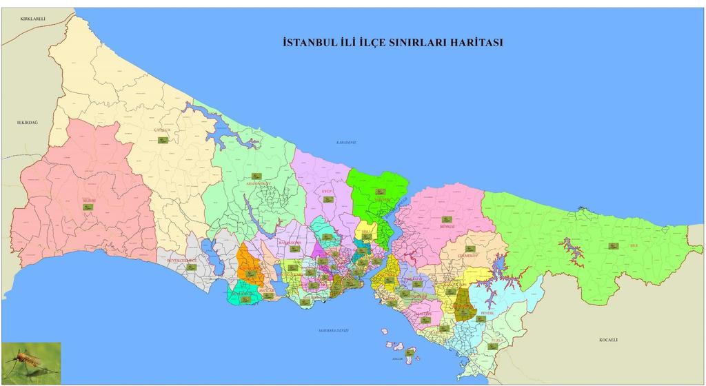 VEKTÖRLERLE MÜCADELE HİZMETİ Türlerinin