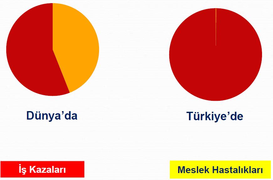 Ref.: Öğr.Gör.