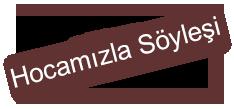 1980-1985 Haseki Eğitim ve Araştırma Hastanesi nde Baş asistanlık ve Şef Muavinliği 1985-1989 İstanbul Tıp Fakültesi, Kadın Hastalıkları ve Doğum Ana Bilim Dalı nda Baş asistan 1989- Doçent, 1995-