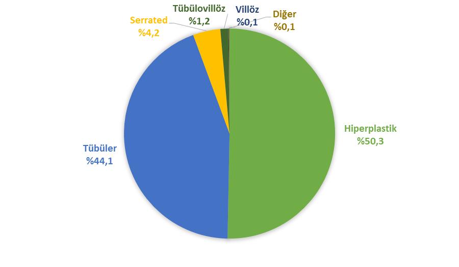 Çalışmaya dahil edilen hastaların %21,8 inin (n=338) polip yerleşimiinen kolon+splenik fleksurada iken %21,7 sinin (n=337) sigmoid kolonda, %20,9 unun (n=325) rektumda, %14,9 unun (n=232) çıkan