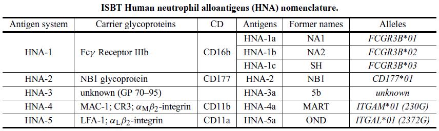 ANTİ NÖTROFİL ANTIKORLARI ANTİ-HNA HNA ANTİJENLERİ VE KODLANDIKLARI GENLER Antijen HNA-1a HNA-1b HNA-1c HNA-1d HNA-2 HNA-3a HNA-3b HNA-4a