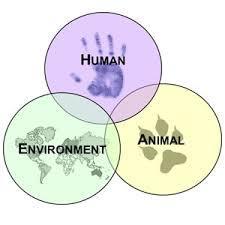 EPİDEMİYOLOJİNİN KULLANIM ALANLARI: İnsan, hayvan ve çevre