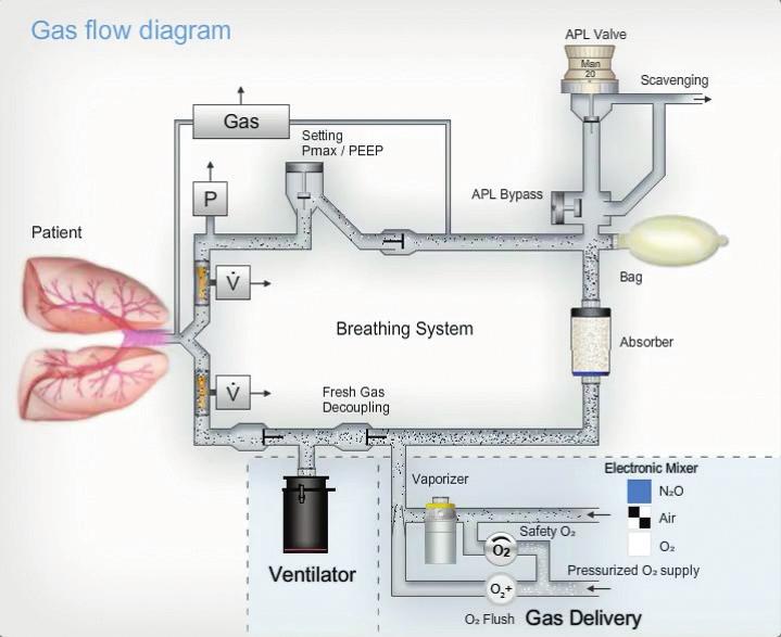 02 PERİOPERATİF KORUYUCU VENTİLASYON, SPONTAN SOLUNUM TEŞVİKİ VE BİLİŞSEL İŞ YÜKÜNÜ AZALTMAK İÇİN DESTEKLEYİCİ TEKNOLOJİ Ventilasyon basıncı ve tidal hacmin güvenilir ve hassas uygulanması Dräger