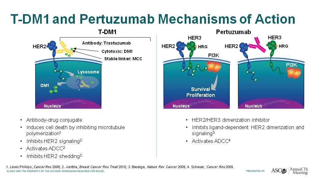 T-DM1 and Pertuzumab