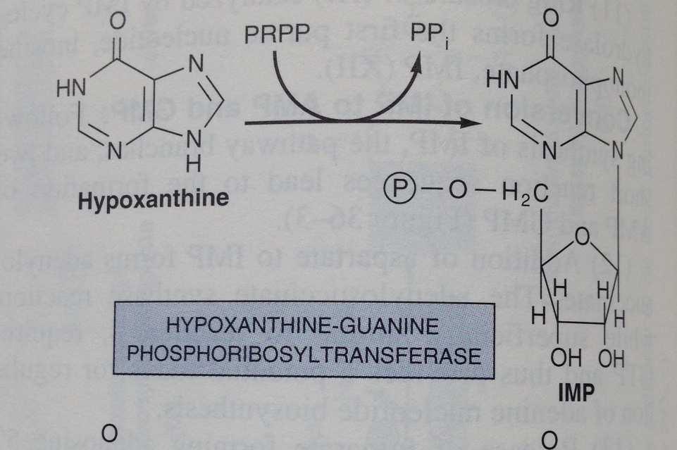 fosforil transferaz ve