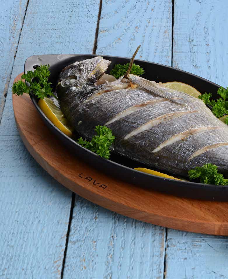 77 FISH PLATES and DISHES BALIK TAVASI LV ECO BT 1524 T8 w: 15,4 cm l: 32 cm h: 2,8 cm 0,44 lt 1-2 1,25 kg Description: Fish Plate, Integral metal handles. Dimension 15x24 cm.