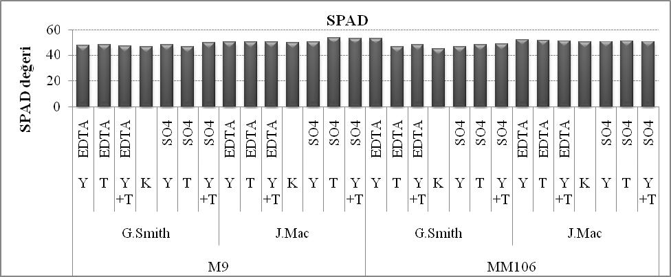 Şekil 4.41. Uygulamaların 2009 yılı SPAD değeri ortalamaları Çizelge 4.33 ve Şekil 4.42 de 2010 yılında uygulamaların SPAD değerine etkileri verilmiştir.