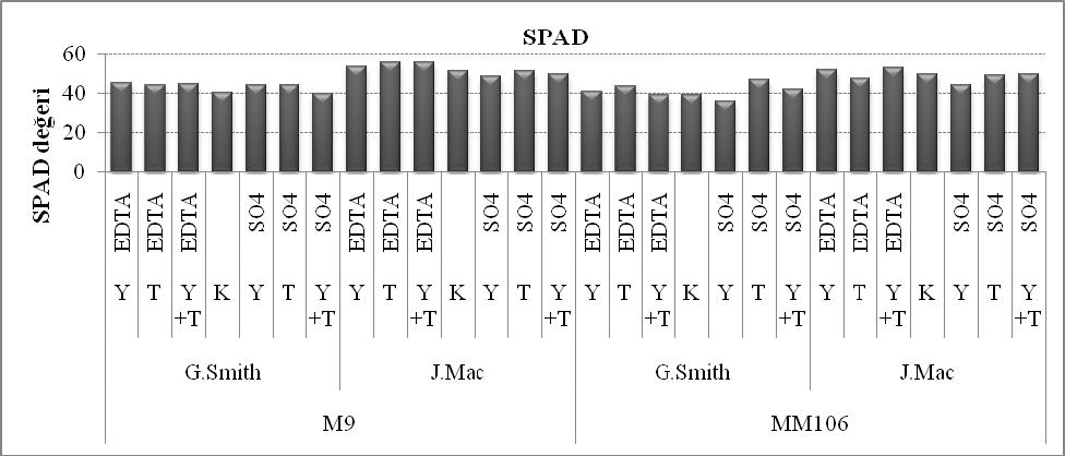 SPAD değeri bakımından anaçların ortalamaları değerlendirildiğinde, M9 anacının (48) MM106 anacına (45) göre daha yüksek SPAD değerine sahip olduğu belirlenmiştir.
