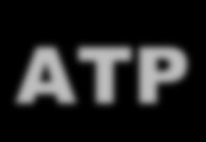 ATP Burst Eşit intervallerle salınan pacing uyarıları serisi Her seferinde interval azalır Ramp Azalan intervallerle salınan pacing uyarılar