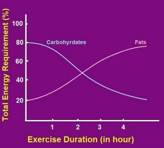 Egzersizin süresi & kullanılan enerji Egzersizin süresi ile yağ tüketimi arasında ise doğrusal bir ilişki vardır.