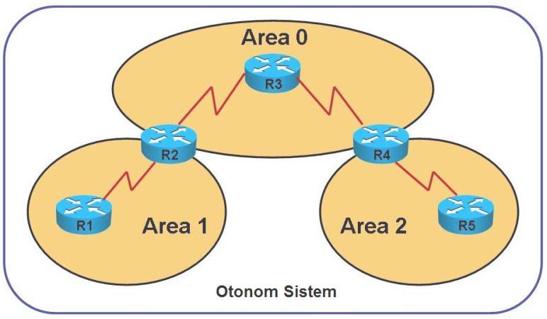 21 Şekil 3.1. OSPF area yapısı Aynı area da bulunan yönlendiriciler aynı topoloji bilgisine sahiptirler.