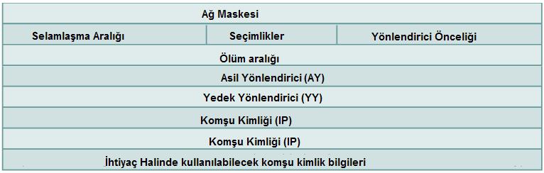 Komşu kimlik bilgileri, AY ve YY bilgileri ile yönlendirici öncelik bilgisi gibi komşuluk kurulması aşamasında gerekli olan önemli bilgiler içermektedir. Şekil 3.