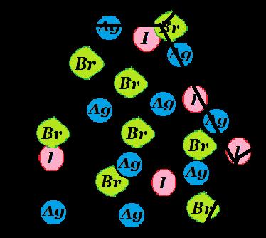 Ag Br hv (x-ışını) Ag Br Gümüş Halid Kristalini oluşturan Gümüşbromür (AgBr) ve Gümüşiyodür (AgI) bileşikleri üzerine düşen x-ışınının enerjisiyle Gümüş (Ag), Brom (Br) ve İyot (I) elementlerine