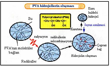 18 kondensasyonreaksiyonları vasıtasıyla kimyasal hidrojelleri oluştururlar. Örn. PEG, polivinil alkol (PVA), poliakrilik asit (PAAc), polisakkaritler, kolajen.
