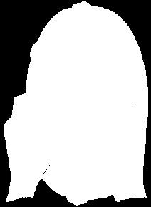 tympanon: tef Membrana tympanica (kulak zarı) cavum tympanica nın dış duvarında yer alır