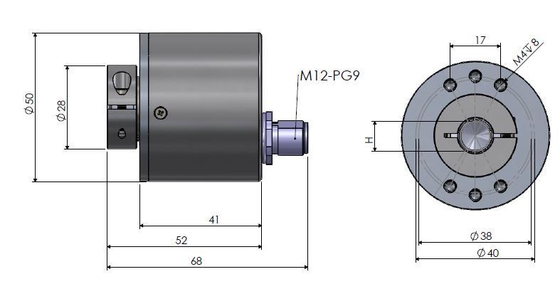 MAS-B 50 (YARI HOLLOW