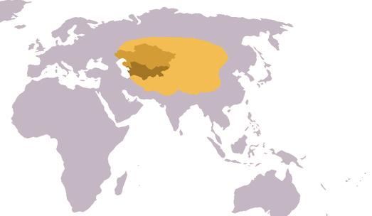 İlk ve Orta Çağlarda Türk Dünyası BİLGİ Türklerin anayurdu Orta Asya'dır.