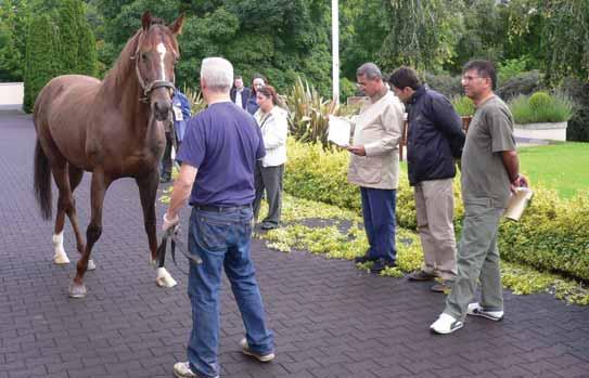 Bu dünya çap ndaki harada bafl ayg r Sadler s Wells, genç flampiyonlar Montjeu, Galileo ve Hurricane Run görülmüfltür.