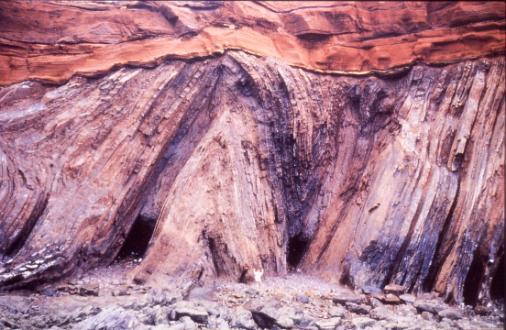 yüzeyin olup olmadığı ve uyumsuzluk yüzeyinin altındaki kayaçların cinsine bağlı olarak dört çeşit uyumsuzluk yüzeyi belirlenmiştir.