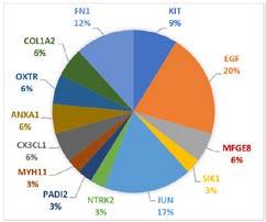 POSTERLER / POSTERS Figure 2: Evaluation of inter-gene relationships Reference: Koledova Z et al.