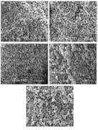 DAVETLİ KONUŞMACILAR / INVITED LECTURES Figure 1. pdna encapsulated within the microspheres in A2 and B2 formulations, while B2a contained pdna adsorbed onto the microspheres.