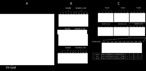 In Figure 2B, results for complex formation of fcslns containing 10 % lipid with pdna are presented. Results for complexation of fcslns containing 5% lipid are presented in Figure 3C.