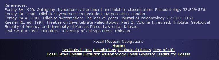 http://www.fossilmuseum.