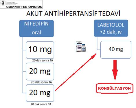 ORAL NİFEDİPİN Kullanılan Yönetim Algoritması Fetus canlı ve doğum eylemi başlamamış ise fetal izlemi başlat.